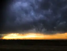 匹诺曹的谎言极乐大道221 匹诺曹的谎言极乐大道221